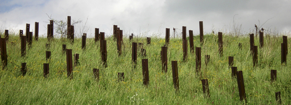 Tank trap defences, Villy La Ferte Sedan Ardennes